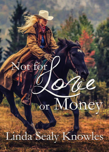 Not for Love or Money a Novel by Linda Sealy Knowles