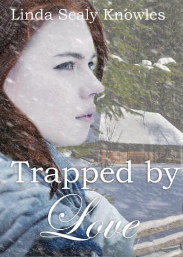 Trapped by Love a Novel by Linda Sealy Knowles