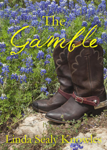 The Gamble a Novel by Linda Sealy Knowles